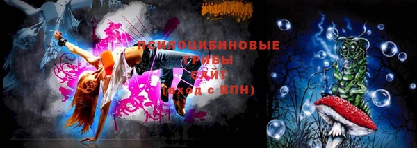 стафф Алзамай