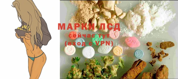 стафф Алзамай