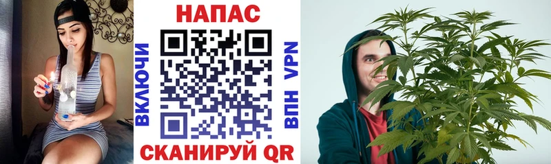 Марихуана план  Покров 